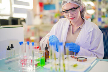 female scientist Experimenting through tubes of chemical liquids and plant samples. In a laboratory with test samples in the background in a modern laboratory By testing safely and cleanly.