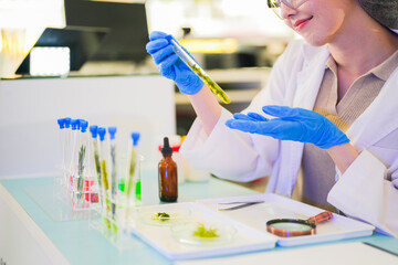 female scientist Experimenting through tubes of chemical liquids and plant samples. In a laboratory with test samples in the background in a modern laboratory By testing safely and cleanly.