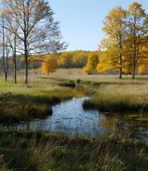 Fototapeta premium A tranquil scene of a small river flowing through a grassy field with trees in the background displaying their autumn colors