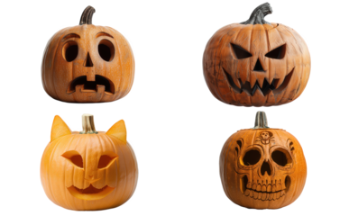 Four carved pumpkins with different designs, including a scared face, angry face, cat face, and skull. Perfect for Halloween decorations.