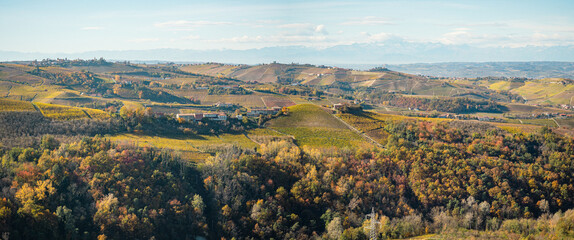 Italian landscape with vineyards