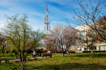 Вышка связи