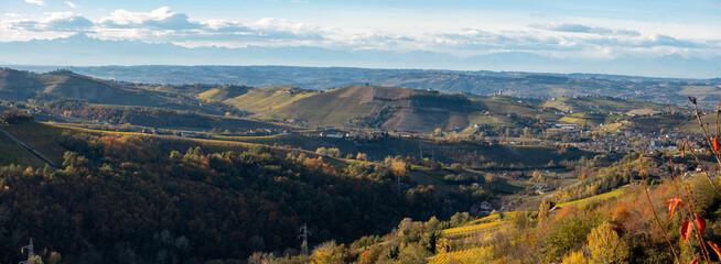 Italian landscape with vineyards