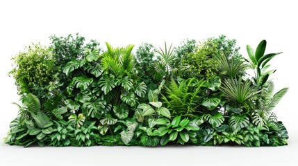A collection of diverse plant species arranged on a clean white surface for observation and study