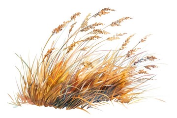 A watercolor illustration of a small bush of grass, perfect for decorative or educational purposes