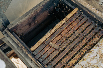 A wooden box with a lot of wood and a lot of bees