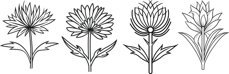 A collection of thistle, yucca, and knapweed flower line art vector illustrations set isolated on a transparent background. Modern minimalist design for logo, tattoo, wall art, 