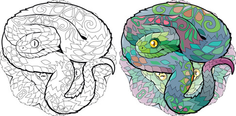 Zentangle snake for coloring on mandala . Hand drawn decorative vector illustration. Color and outline set