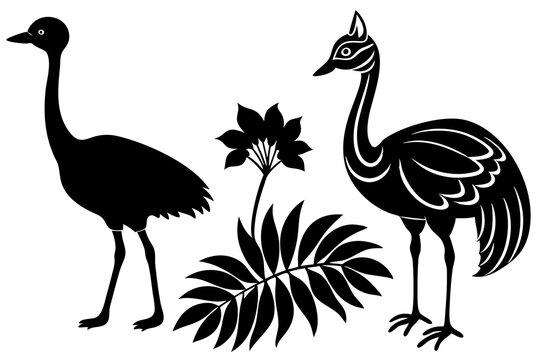 brolga bush baby cassowary haed icon silhouette vector illustration 