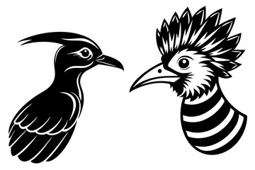 hoiho hoopoe haed icon silhouette vector illustration 