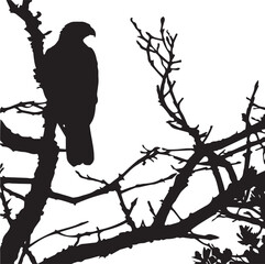 birds on tree, vector silhouette illustration  eps