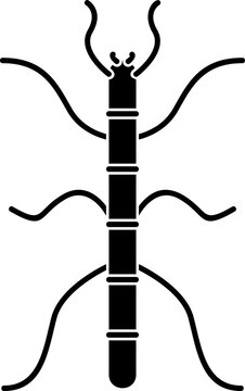 Walking stick illustration