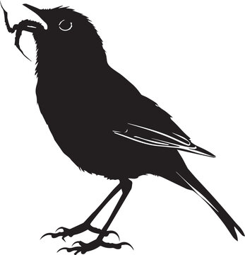recommend clip art: crow on a white background, vector silhouette illustration  eps