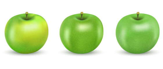 Vector drawing of set realistic green apples.