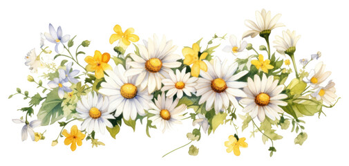 PNG Daisy flowers daisy graphics plant.