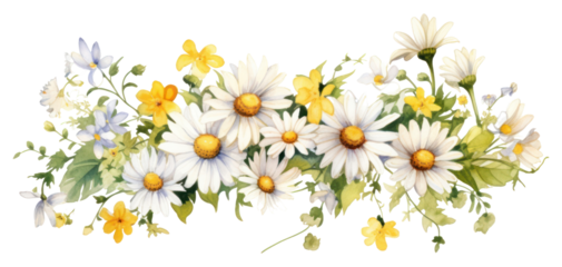 PNG Daisy flowers daisy graphics plant.