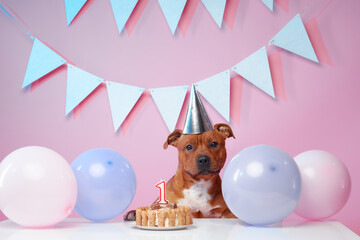 A Staffordshire Bull Terrier sits proudly in front of a birthday cake with a candle, surrounded by pastel-colored balloons and festive bunting