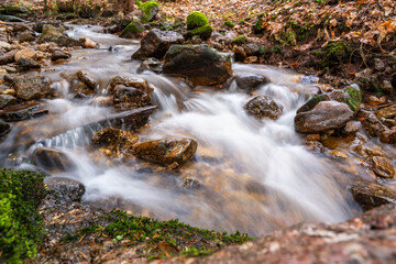 Mountain stream with stone in forest in spring, Ore mountain.