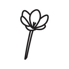 Crocus Icon Black line art vector