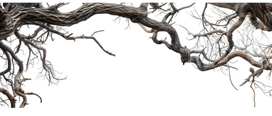 Tangled Tree Vines with Twisted Branches