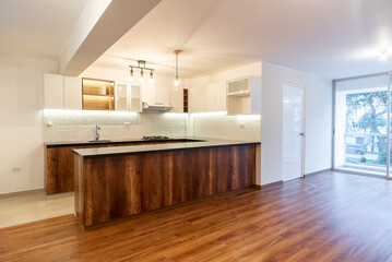 modern kitchen interior  with wall and base units