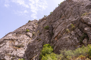 A rocky mountain with a few trees growing on it