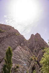 The mountain is covered in trees and rocks