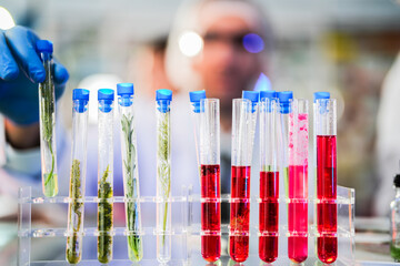 scientific tubes containing rare chemicals and exotic plant samples are used to extract substances for developing advanced medicines. scientist meticulously prepares for groundbreaking experiment.