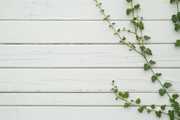 Subtle Touch of Nature: Minimalist Vine on White Wall
