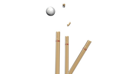 White Cricket Ball Bowled Stump Bails Impact