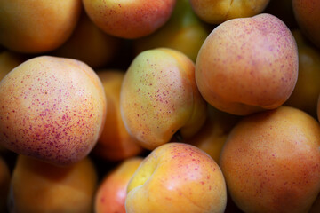 Fruits of juicy apricots in close-up.

