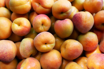 Fruits of juicy apricots in close-up.

