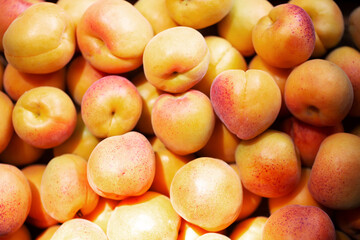 Fruits of juicy apricots in close-up.

