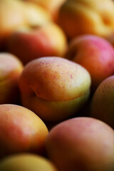 Fruits of juicy apricots in close-up.

