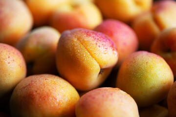 Fruits of juicy apricots in close-up.

