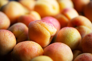 Fruits of juicy apricots in close-up.

