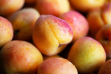 Fruits of juicy apricots in close-up.

