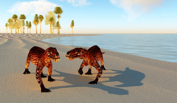 Lycaenops travel at Shoreline - Lycaenops was a carnivorous mammal-like therapsid animal that lived in South Africa during the Permian Period.