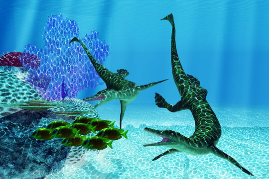Mesosaurus hunts Fish - Two Mesosaurus marine predators chase after a school of Lemonpeel Angelfish during the Permian Period.