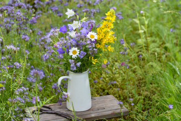 A summer bouquet of wild flowers in a vase on the background of a lawn with flowering phacelia.