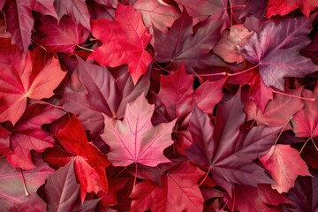red leaves background autumn nature. ai generative