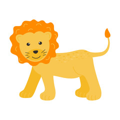 Cute lion isolated on a white background.