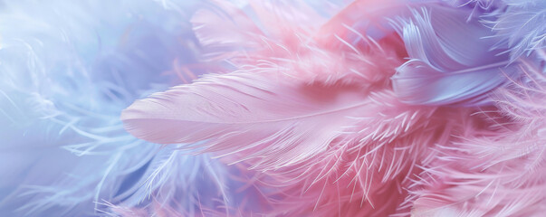 A close-up of delicate, fluffy feathers in pastel shades of pink, lavender, and baby blue. The soft hues and textures evoke a sense of calm and lightness.
