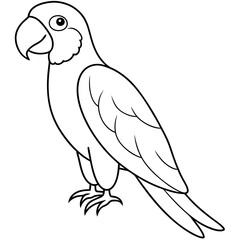 Vibrant Tropical Macaw Vector Illustration for Exotic Art and Design