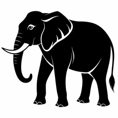 elephant isolated on white background