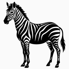 Obraz premium zebra vector illustration