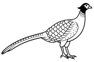 Pheasant silhouette vector illustration, Pheasant Bird