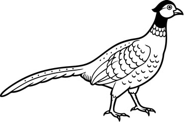 Pheasant silhouette vector illustration, Pheasant Bird