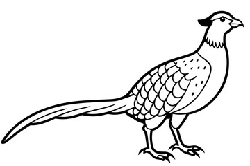 Pheasant silhouette vector illustration, Pheasant Bird