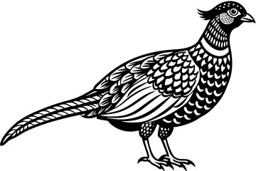 Pheasant silhouette vector illustration, Pheasant Bird